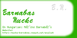 barnabas mucke business card